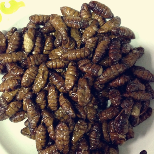 家常炒茧蛹