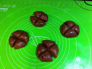 巧克力豆豆麻薯的做法 步骤9