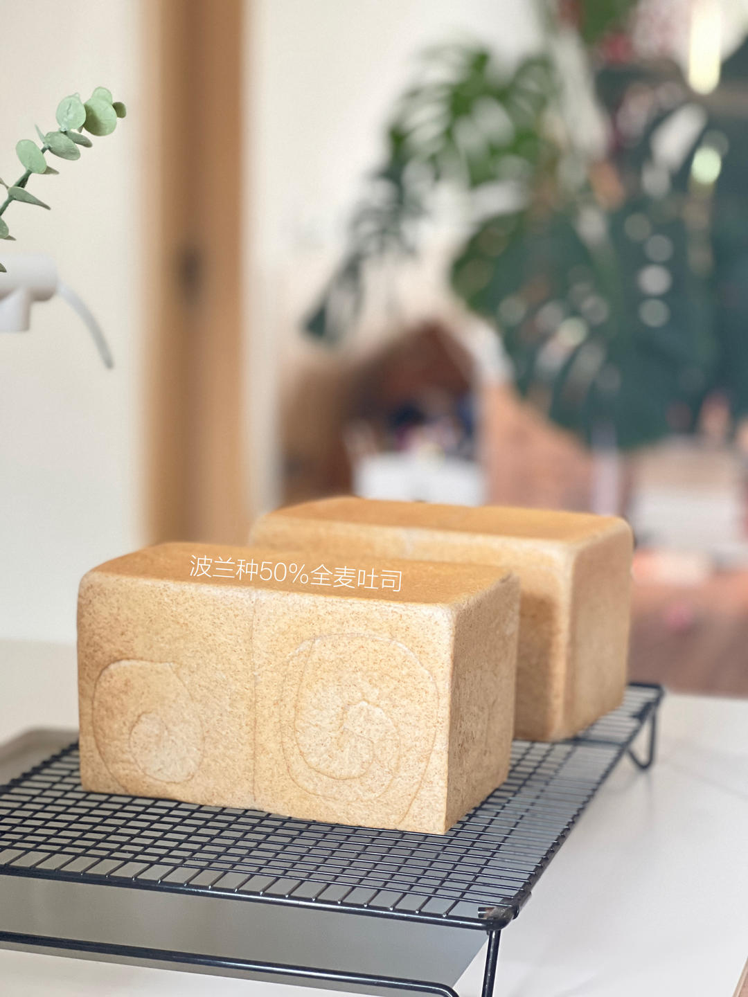 第三天依然柔软的粗全麦吐司