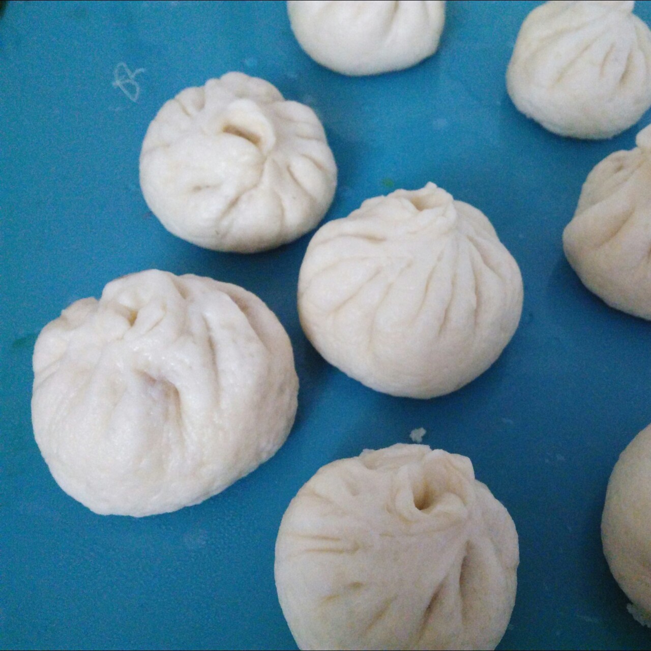 肉包子,杠杠的