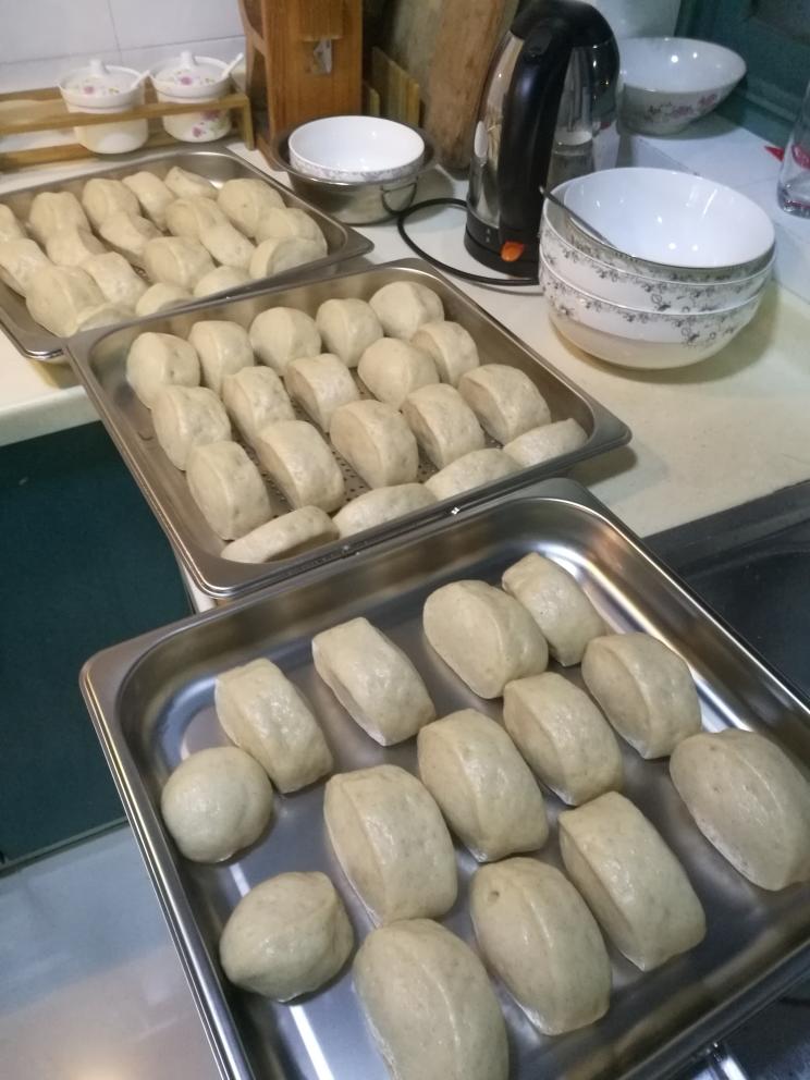 蒸箱西门子蒸馒头