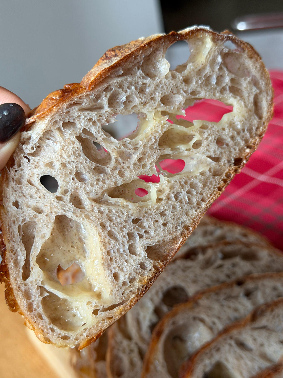 欧包乡村面包｜鲁邦种和荔枝酵液混合发酵