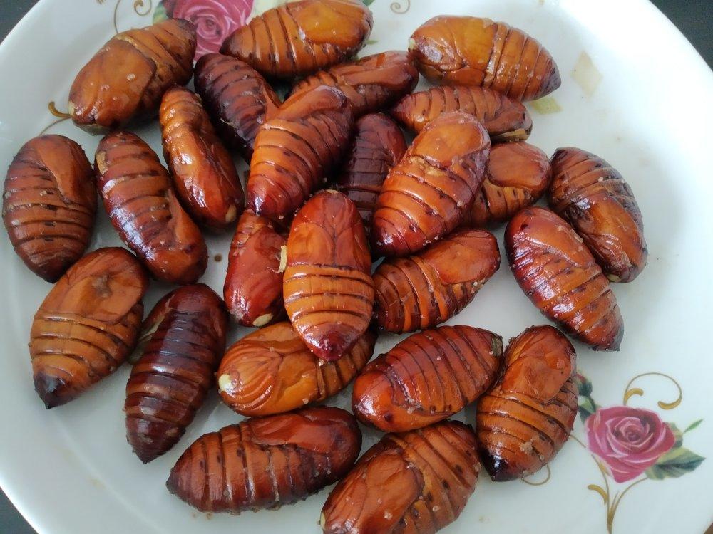 干炒蚕蛹、蝉蛹、茧蛹