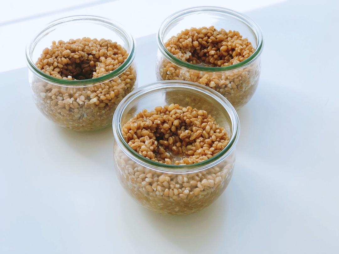 燕麦酒酿（甜胚子）丨健康·三餐