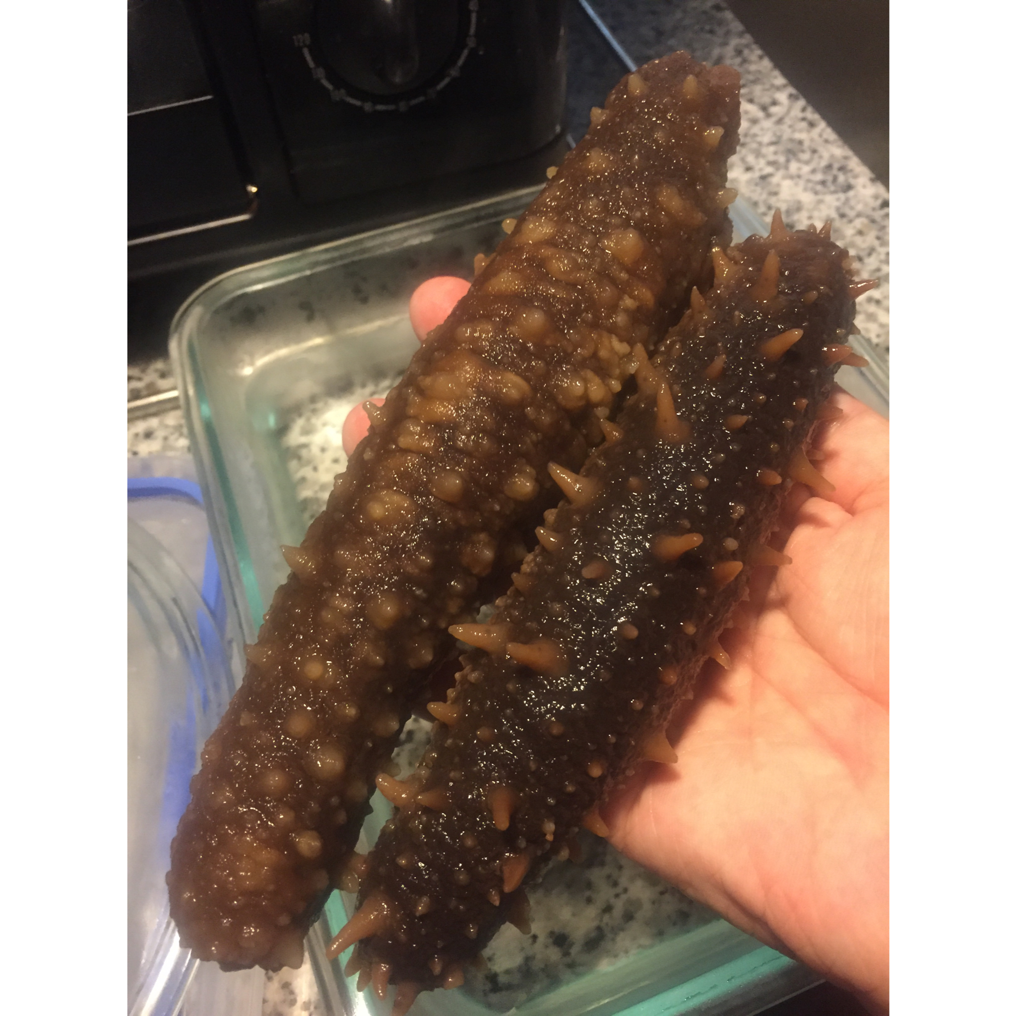 美国海参泡发教程（阿拉斯加红参）