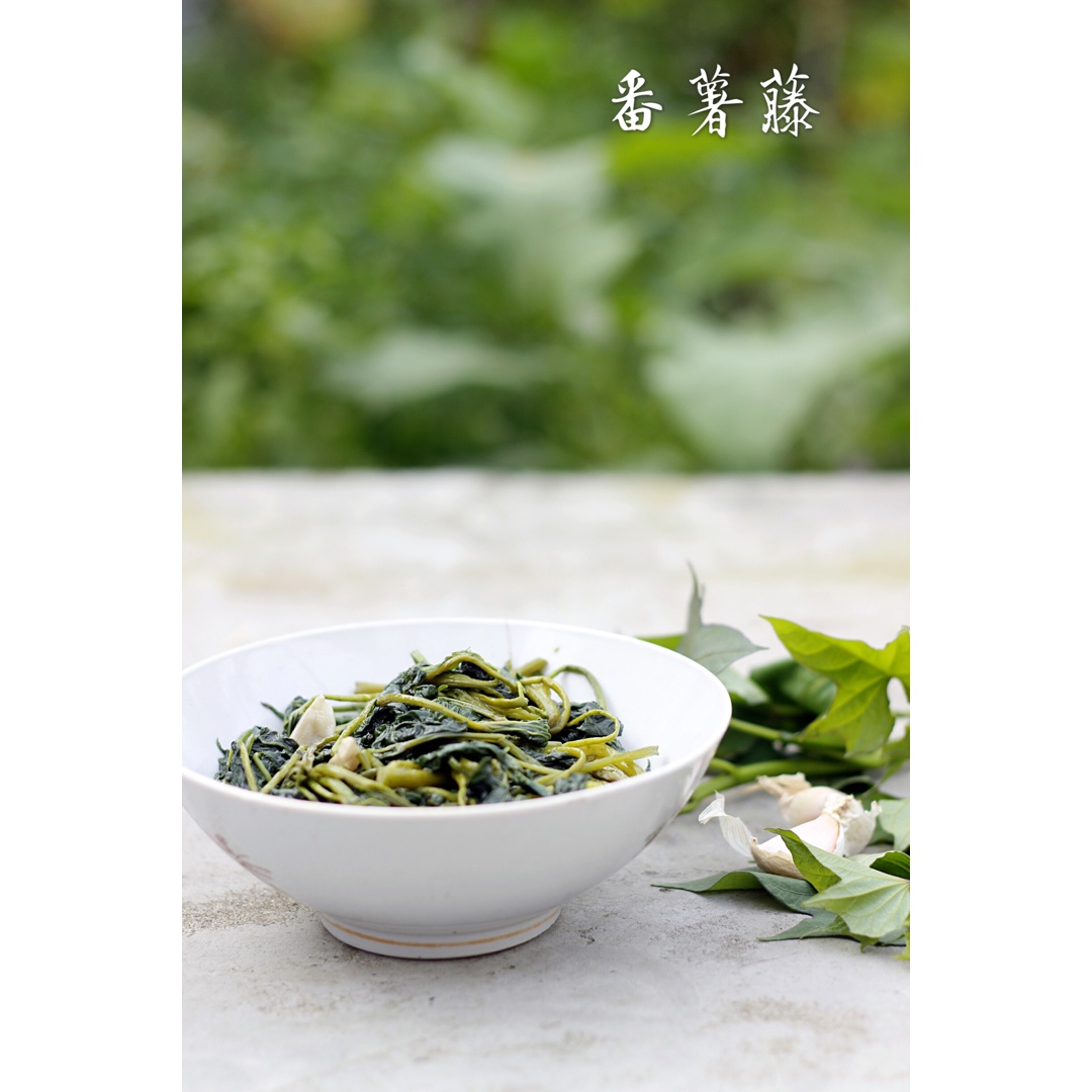 2017 从春约到冬