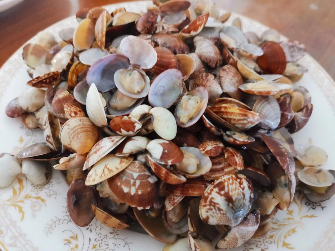 不用水煮的鲜蚬子