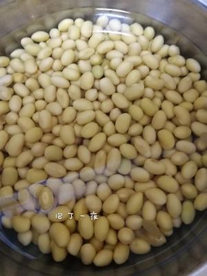 自制豆芽的做法 步骤2