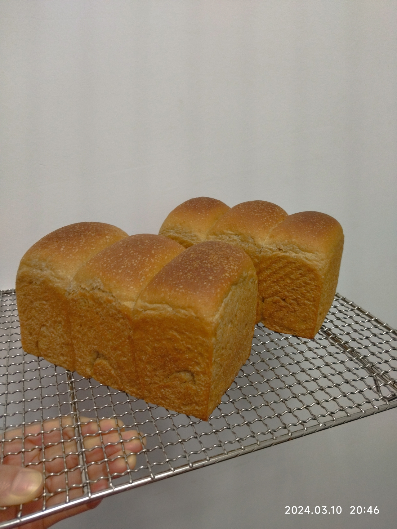 基础全麦吐司（面包机版）丨健康·烘焙