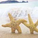 手机用户6699_ka8i