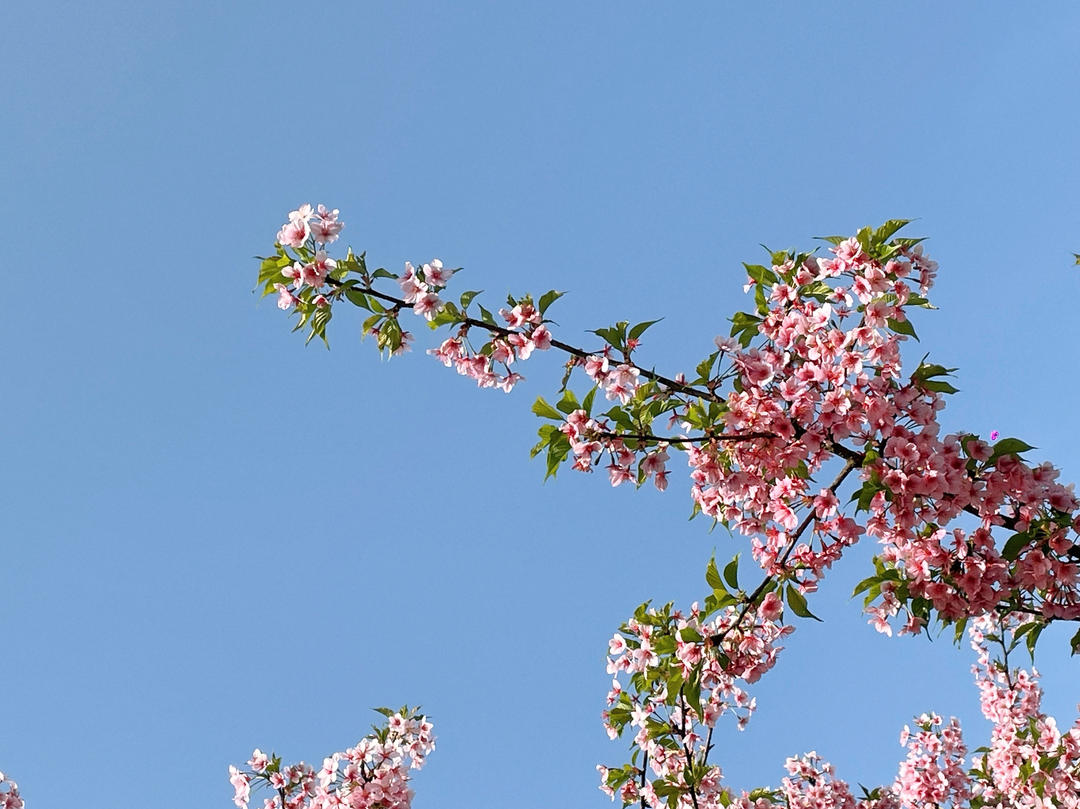 喜欢美食的馨言妈
