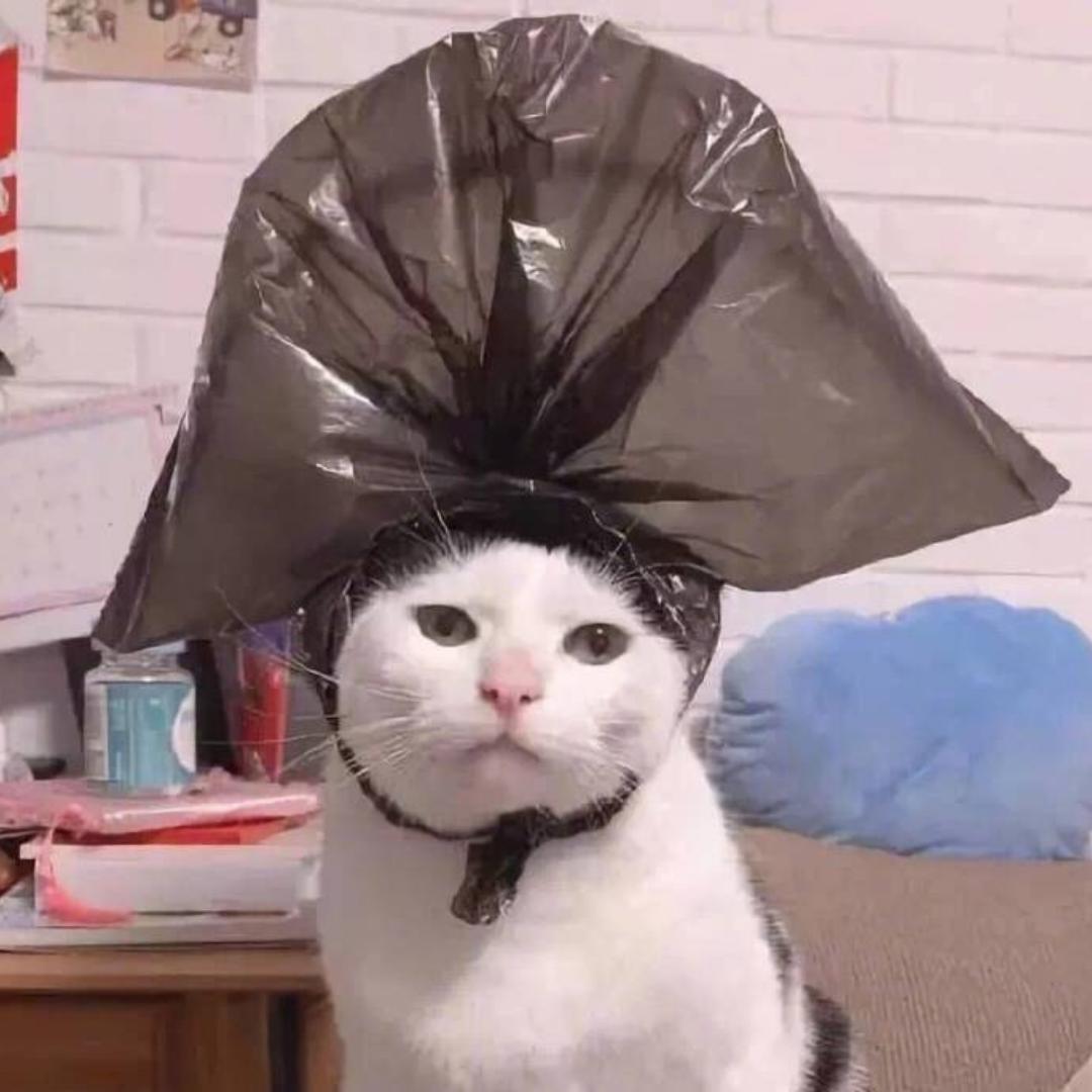 做饭猫-