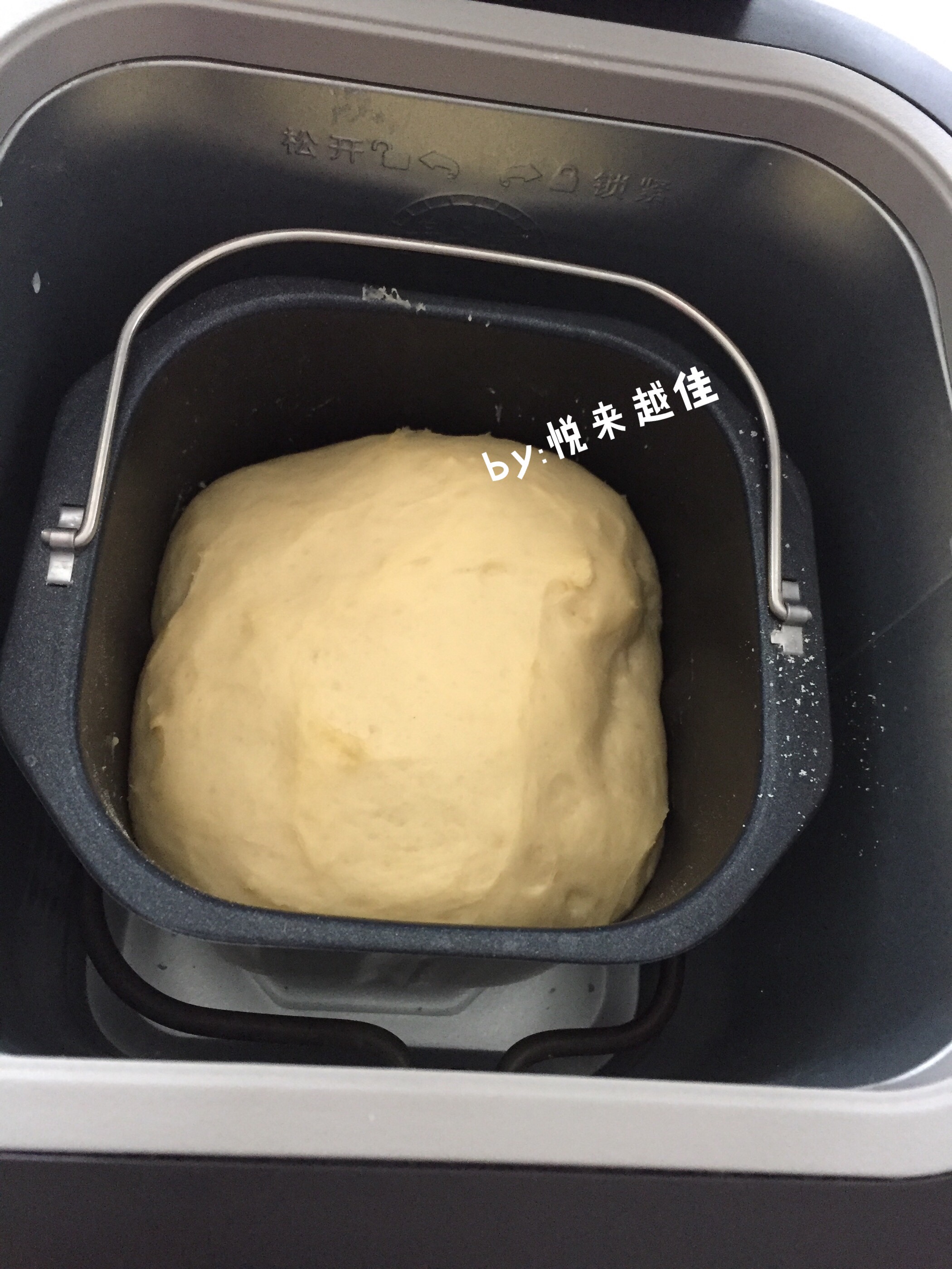 提子吐司面包（高颜值又美味）的做法 步骤5