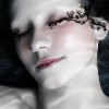 豆蔻-3