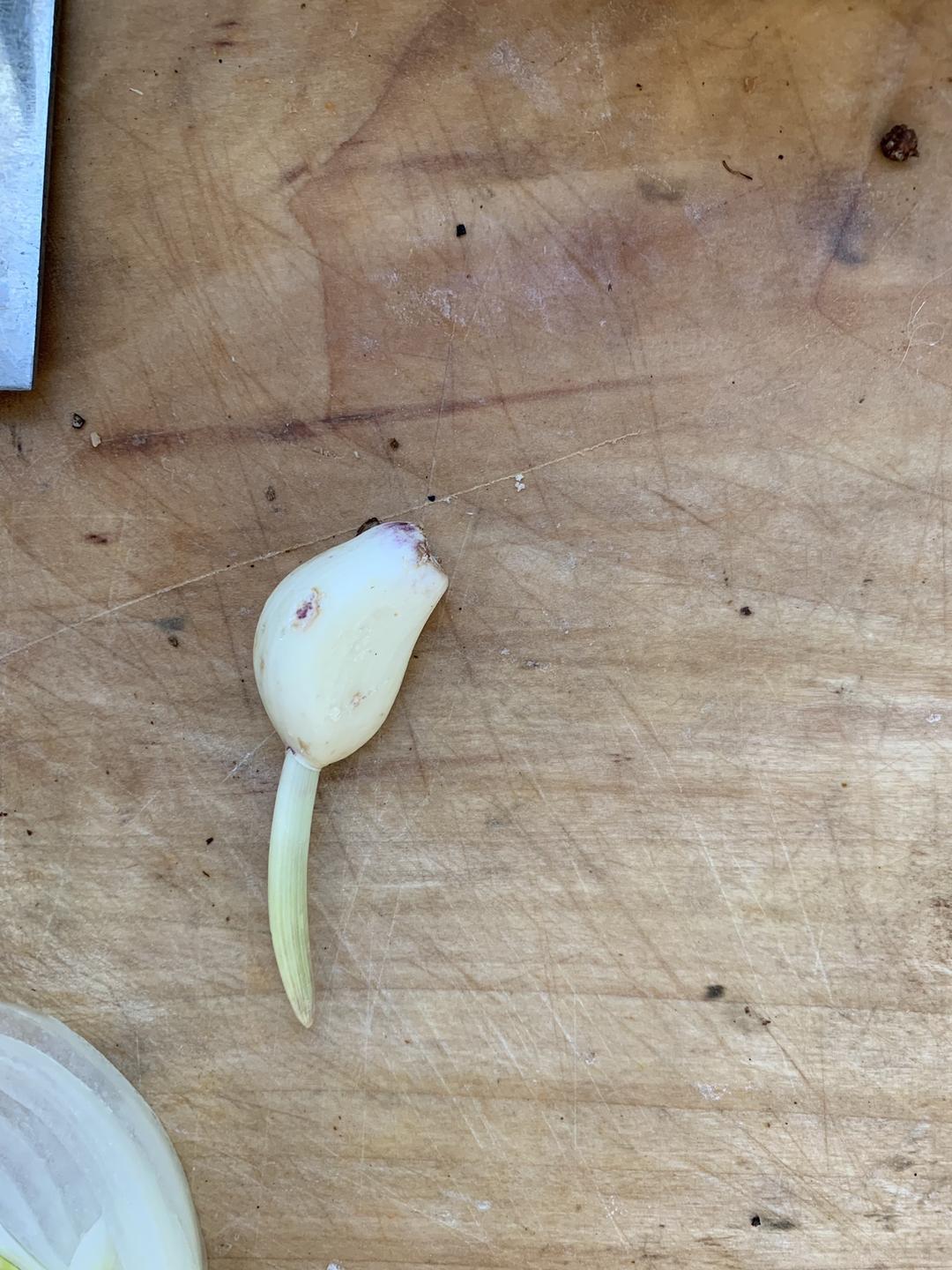 港式铁板烧风味炒豆芽 Xo酱炒豆芽的做法步骤图 多乐多多 下厨房