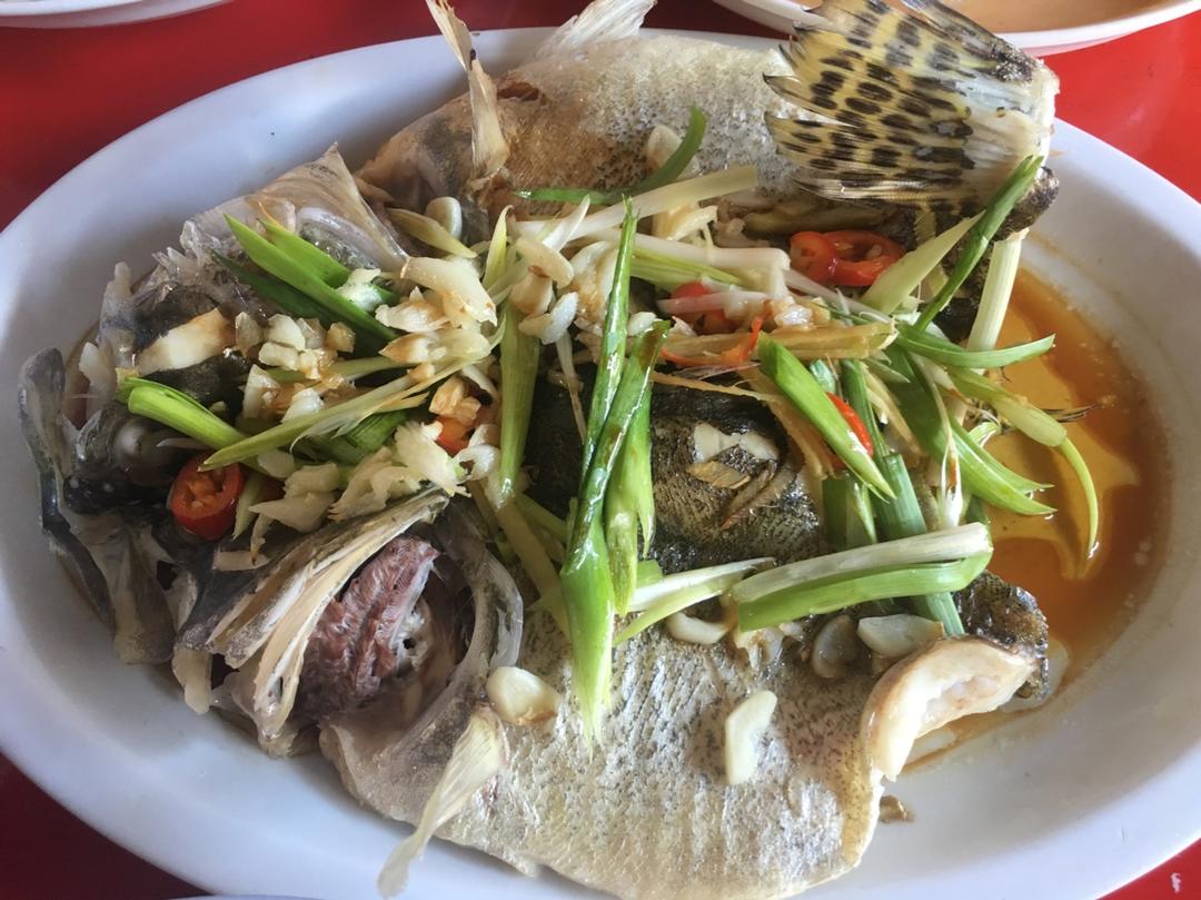 超入味清蒸鱼～清蒸鲈鱼桂花鱼（家常独创）