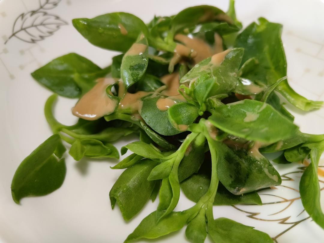 芝麻酱拌穿心莲