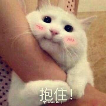 hey_jade