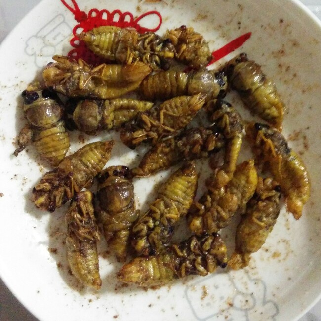 慢慢懂做的椒盐知了