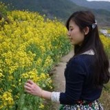yss貓貓