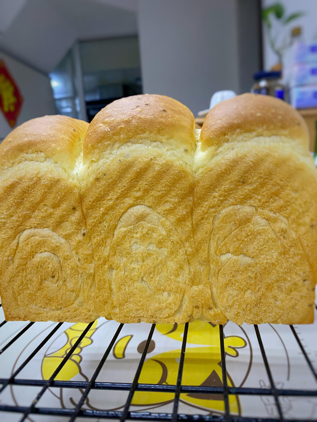 冷藏制抹茶奶酪吐司面包