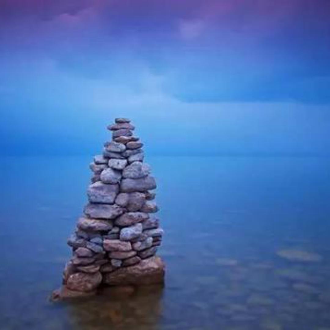 铿锵玫瑰_iek9的厨房