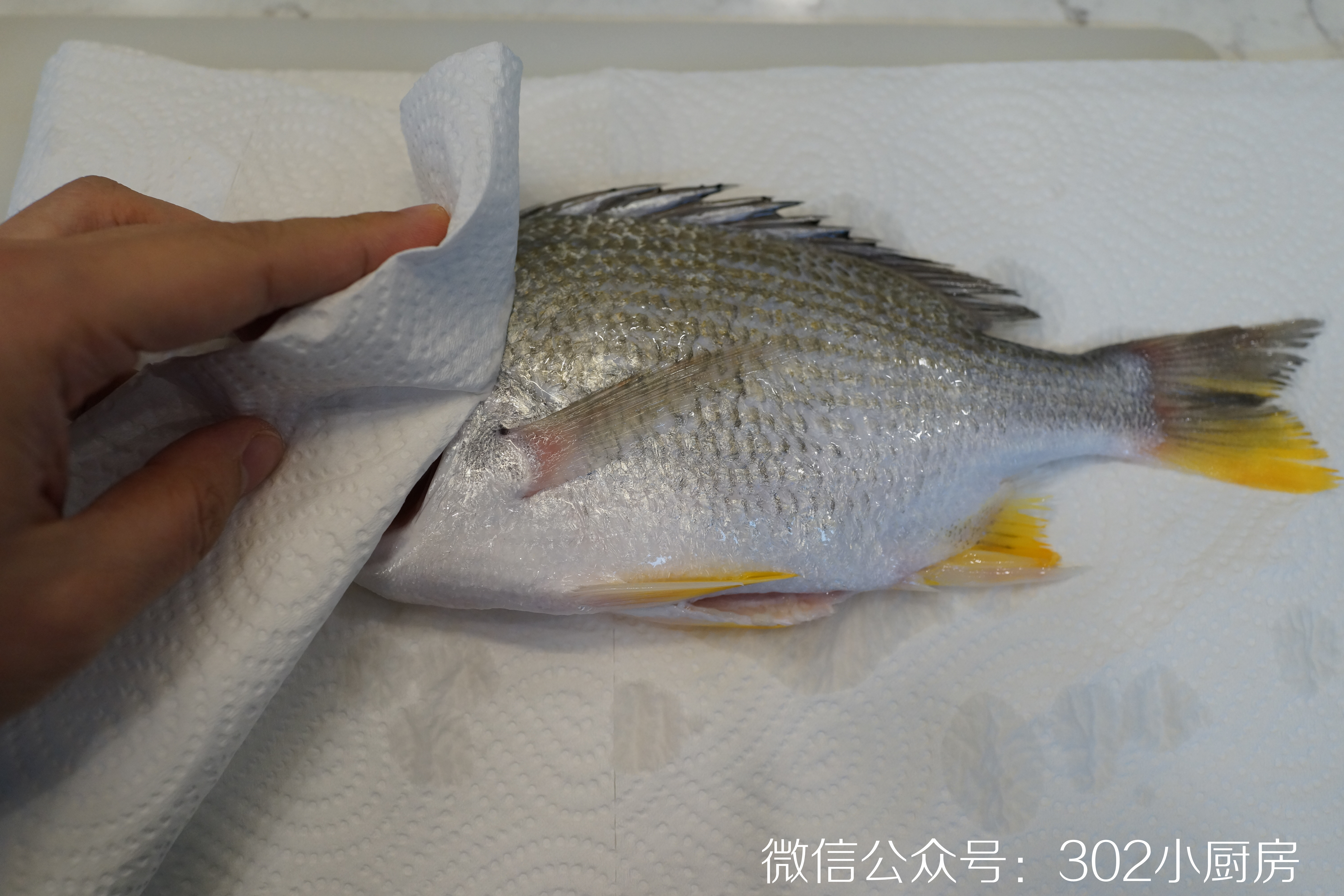 【0732】干煎黄翅鱼（黄鳍棘鲷）  <302小厨房>的做法 步骤7