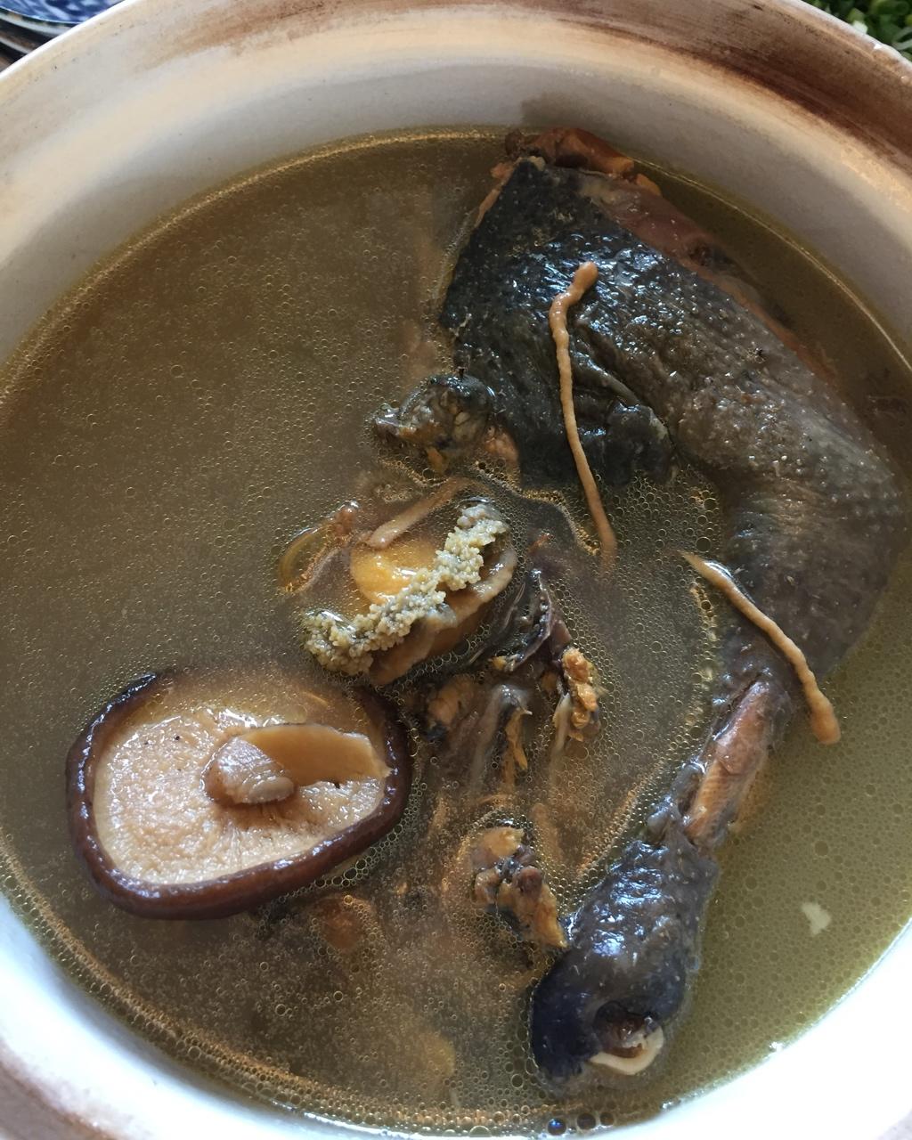 【小森妈妈菜谱】海参鲍鱼虫草花炖乌鸡