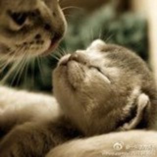 烘焙烘焙_美食美食