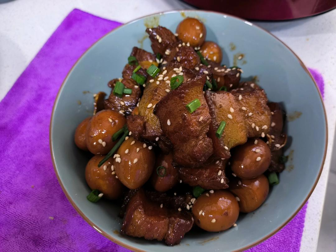 [大师的菜]毛氏红烧肉