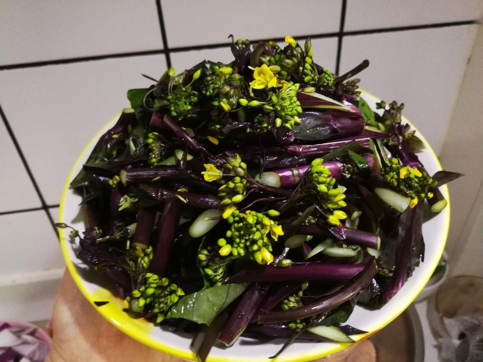 炝炒红菜苔的全部作品