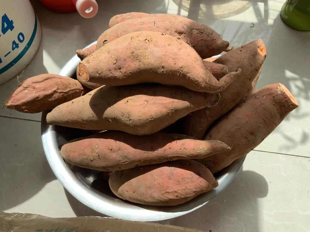 古法地瓜干（三蒸三晒）