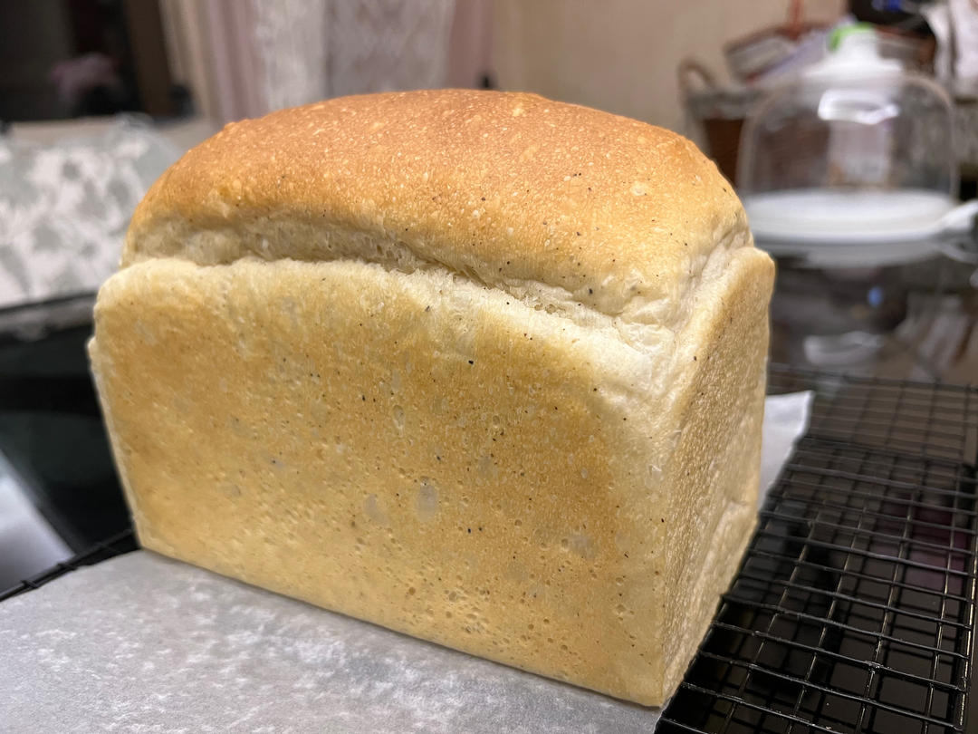 鲁邦种椒盐庞多米-超详细视频