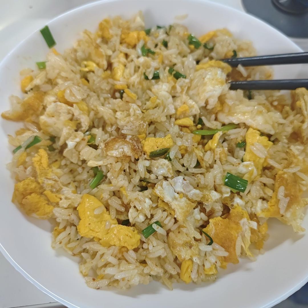 【一碗蛋炒饭】最最最简单的炒饭！！！