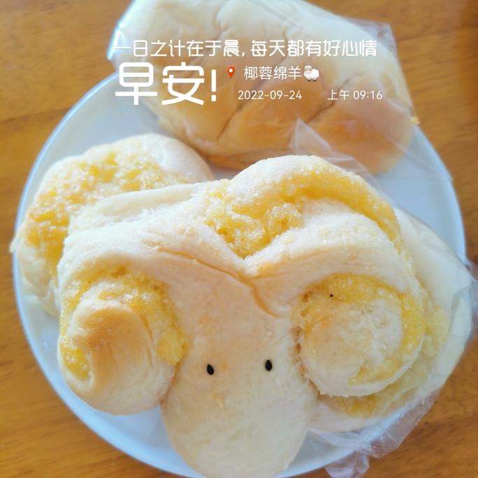 椰蓉面包（波兰种，一次发酵）