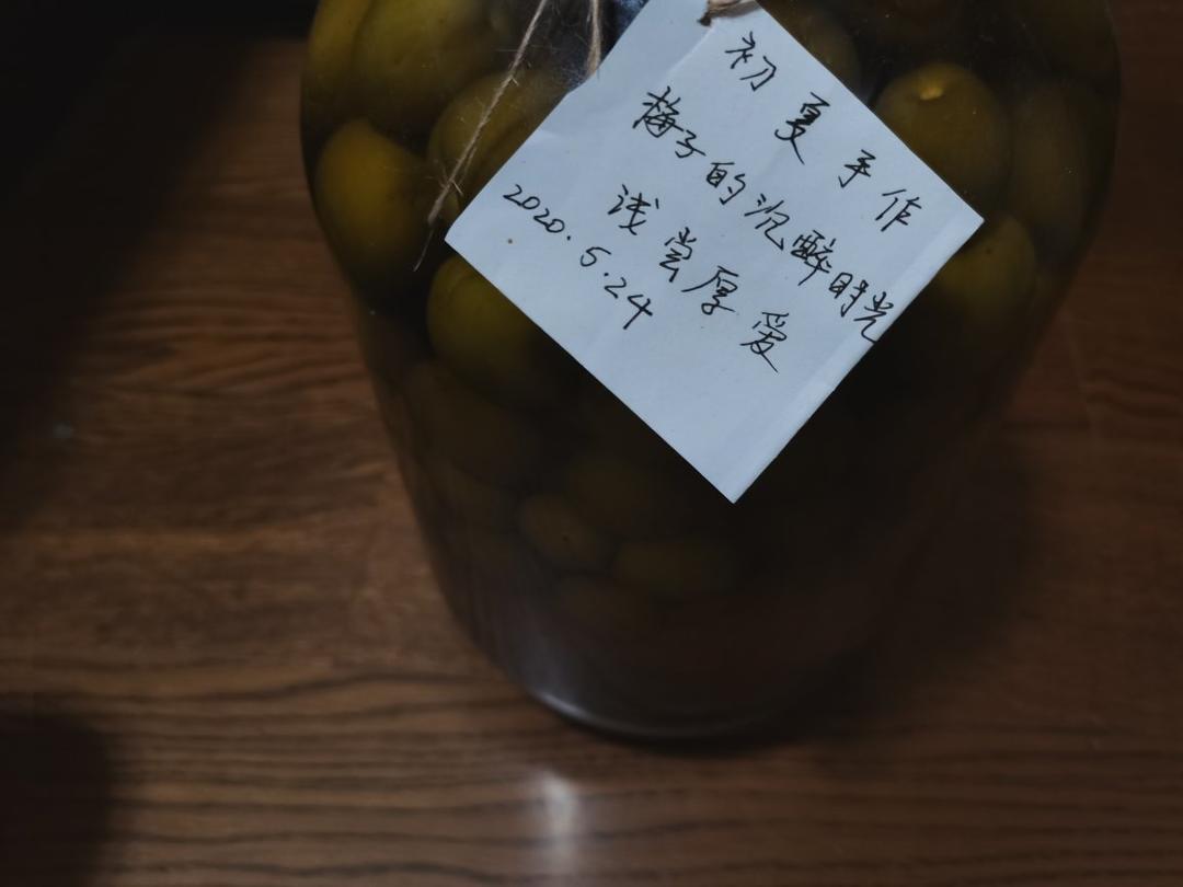 【青梅酒】梅子的沉醉时光（已填坑）