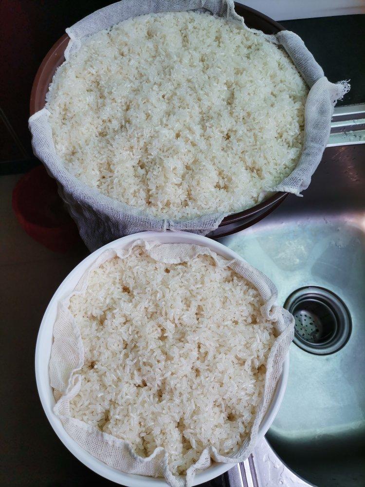 6分钟自制米酒【省事米酒最简易的打开方式】ヽ(•̀ω•́ )ゝ自制酒糟.醪糟.酒酿