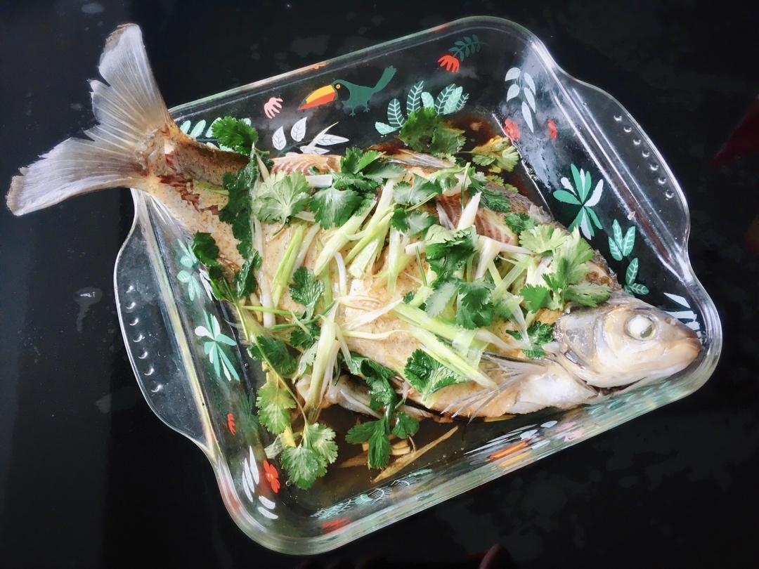 清蒸鱼（鲈鱼/多宝鱼/桂花鱼/石斑鱼……）