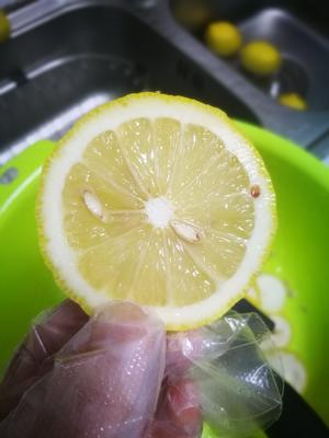 柠檬酒的做法 步骤4