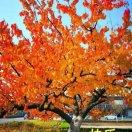 手机用户9796_19lc