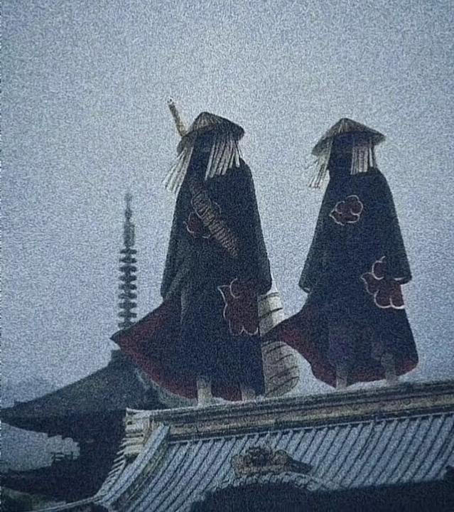 阿良良木历李梨礼