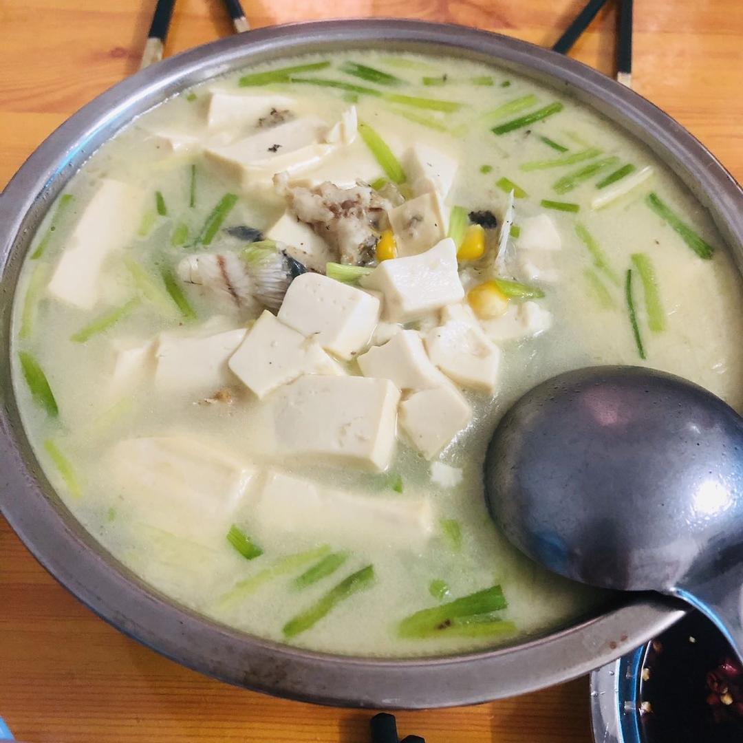 超鲜的奶白黑鱼汤