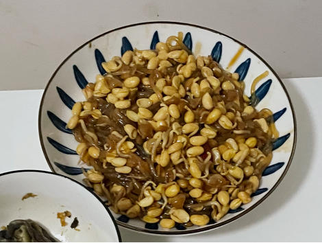 黄豆芽炒粉条