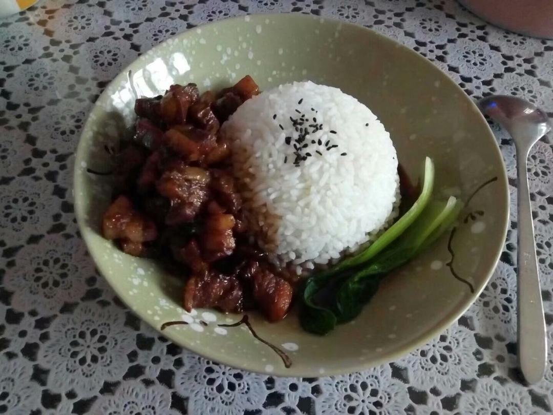 洋葱酥卤肉饭