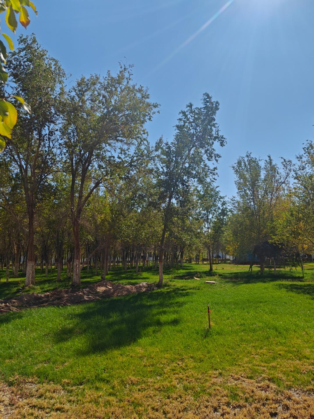 健康快乐饮食小丽