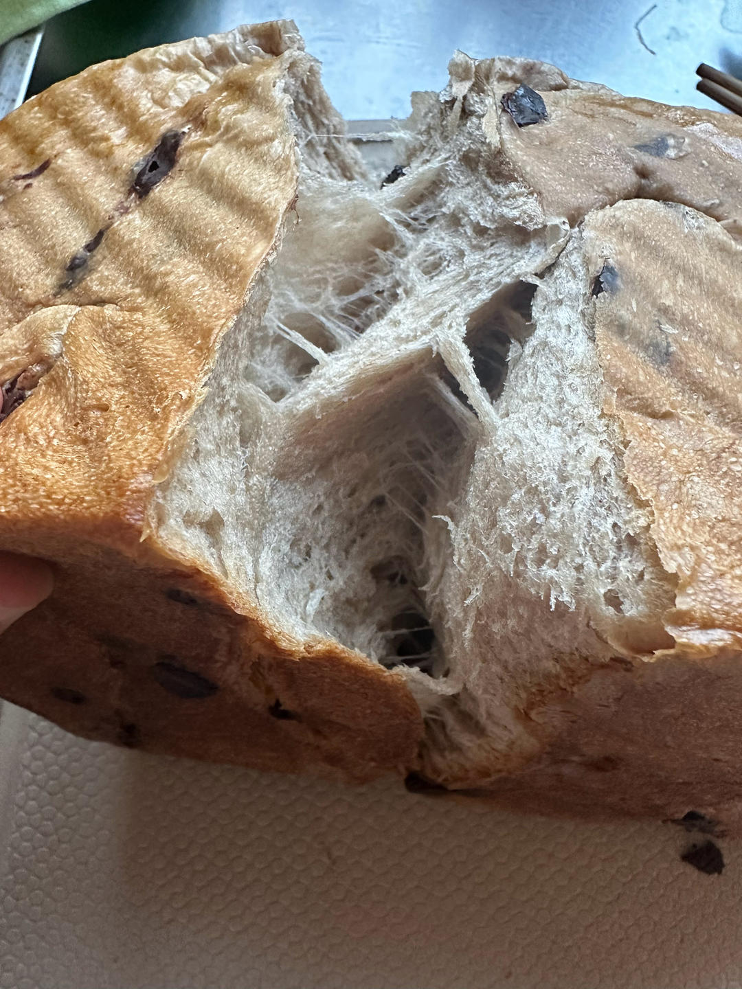 玩转各种“种”面团——中种，波兰种，烫种，汤种，65度汤种，70%冷藏中种