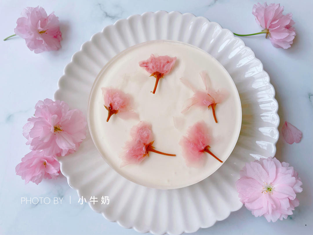 和风樱花芝士