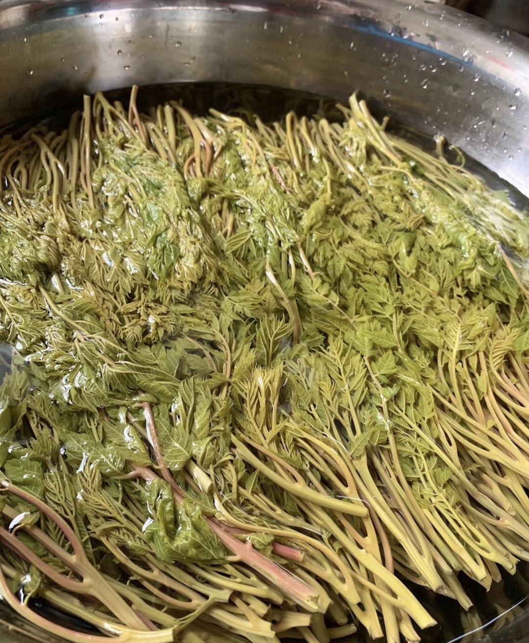 木兰芽蒸饺