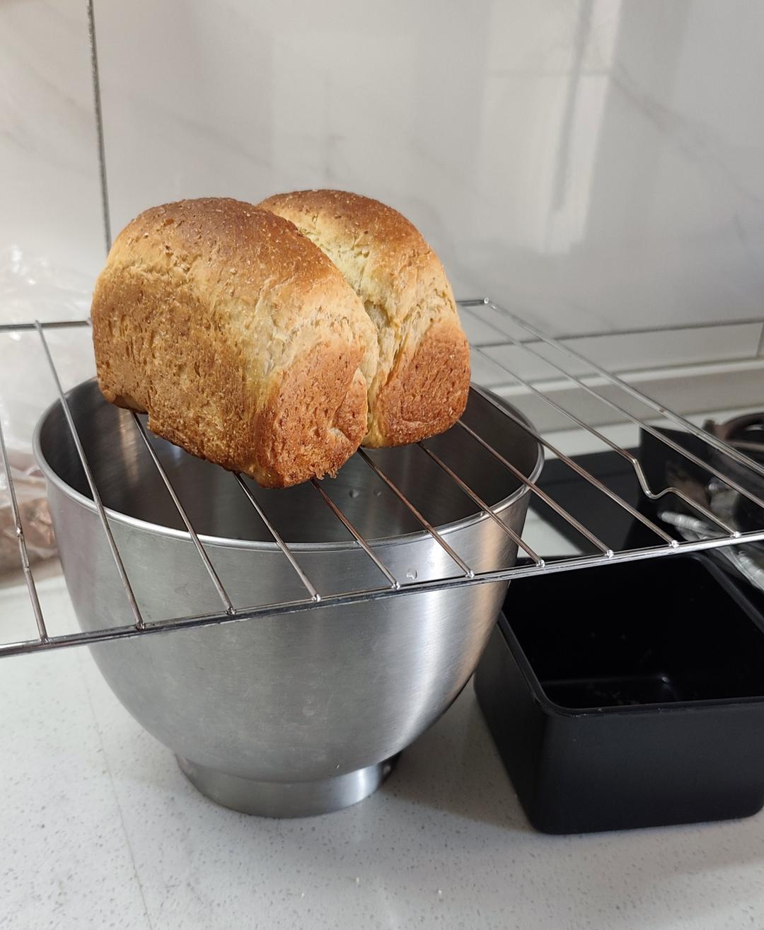 全麦酸奶吐司 无油无糖