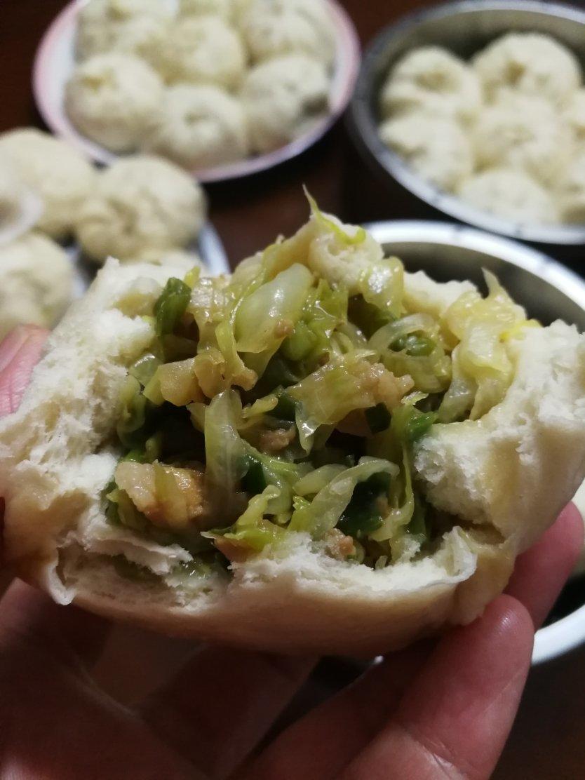 素卷心菜包子
